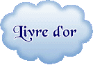 texte alternatif